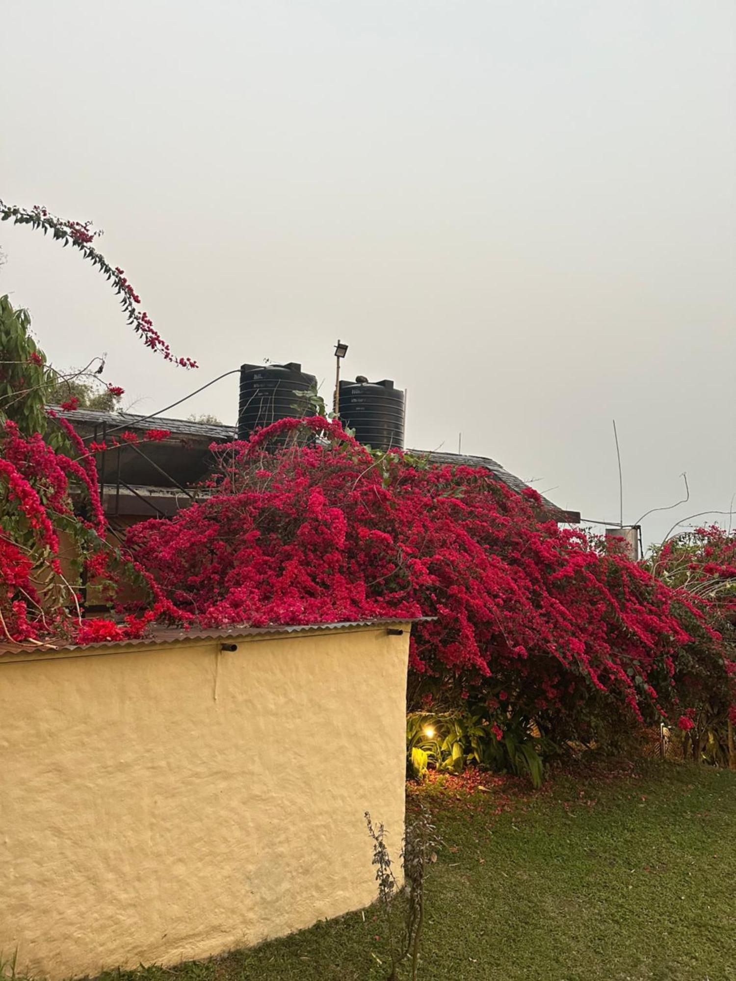 Homeland Forest Villa Pokhara Bagian luar foto