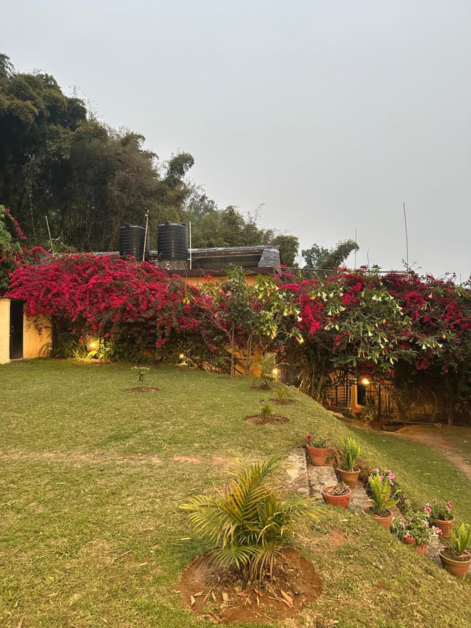 Homeland Forest Villa Pokhara Bagian luar foto
